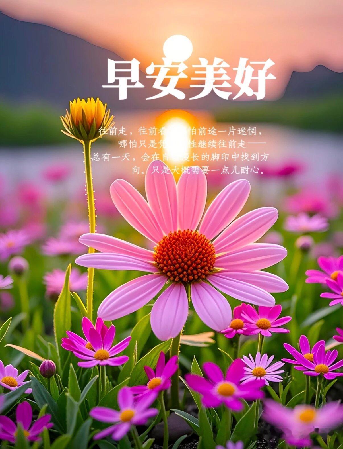🍃春日寄语🌸相遇是花开，芬芳又灿烂；问候是细雨，滋润心尖。陪伴是温情