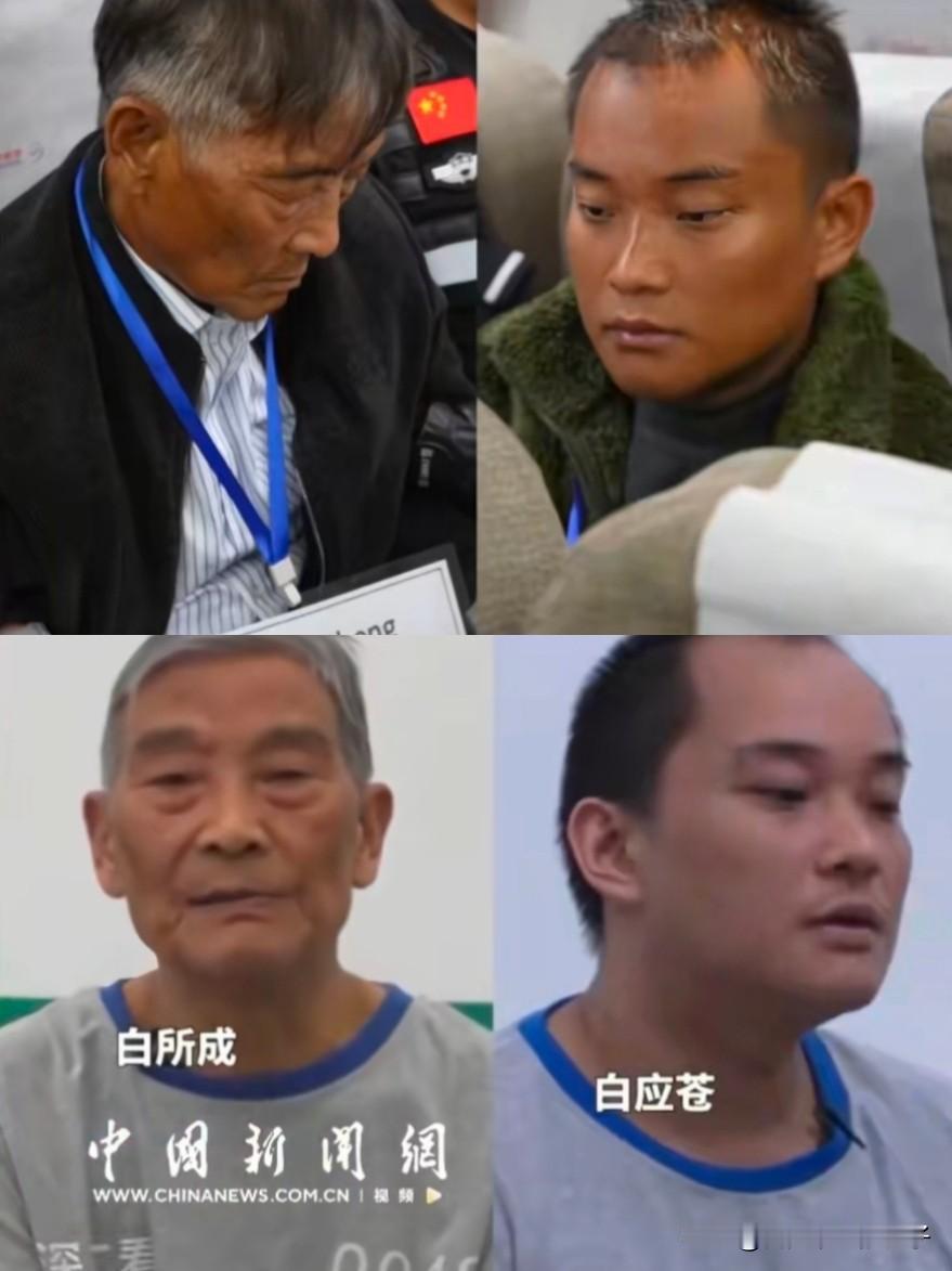 2月2日上午，白应苍等4人执行死刑，应该是注射的，真便宜他们了！白所成在一审宣判