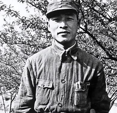 彭总养大的儿子，22岁当上师长，毛主席说他必反，彭总不信。22岁当上了师长，这样