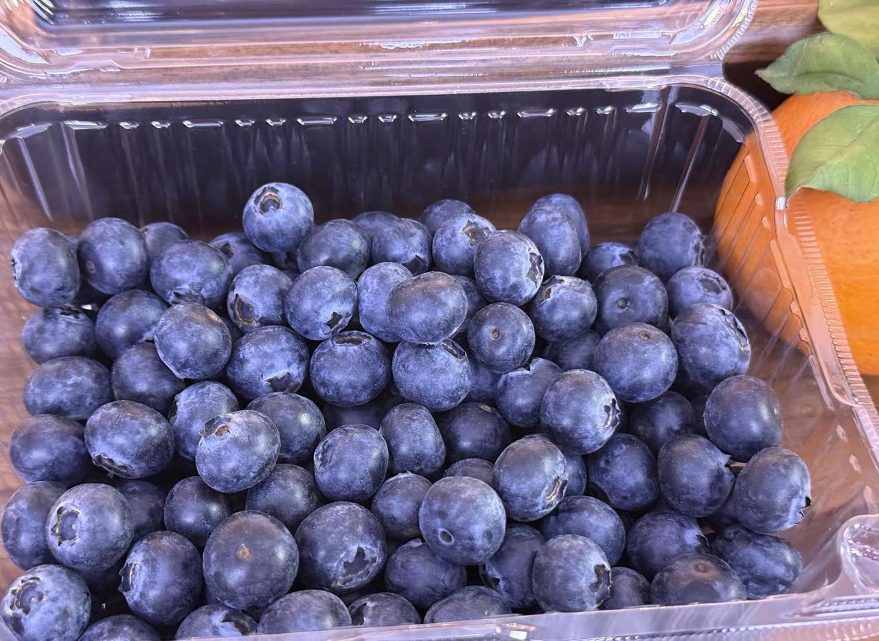 为什么蓝莓不能像猪一样大🫐为什么蓝莓不能像猪一样大