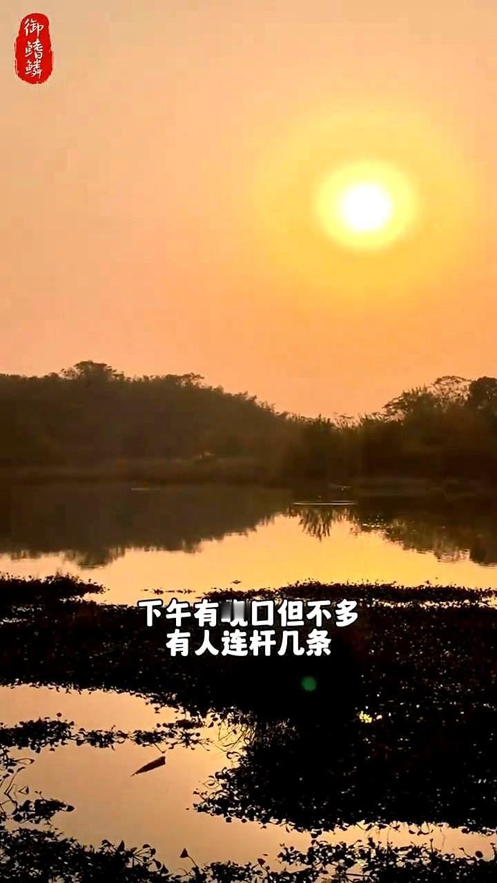 斧头湖夜钓的快乐，就是1.4斤大板鲫出水那一下！晚上换上手竿，挂上钓友们都爱