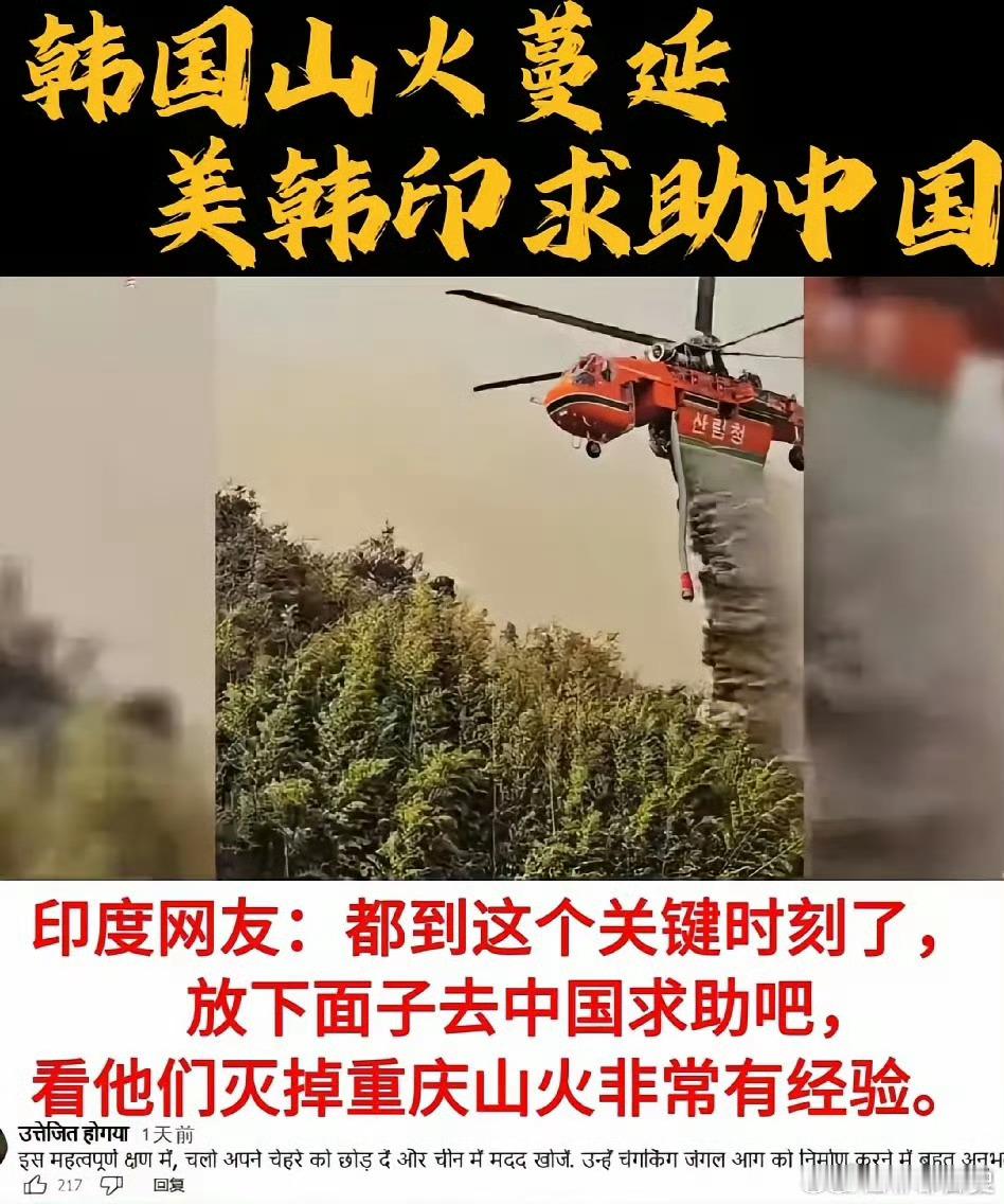 韩国大火蔓延，印度网友支招，让他们放下面子去求助中国，但没想到，韩国网友直接命令