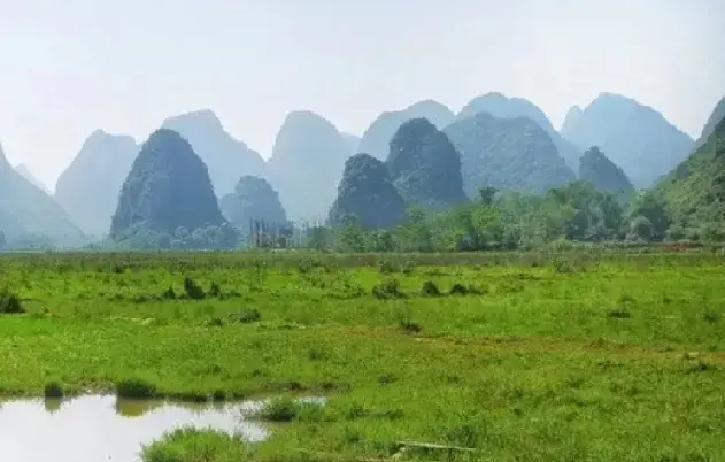 刷到一句话，人活着靠自己，不欠人情就不用看人脸色。配图是灰底白字，点赞几十万。