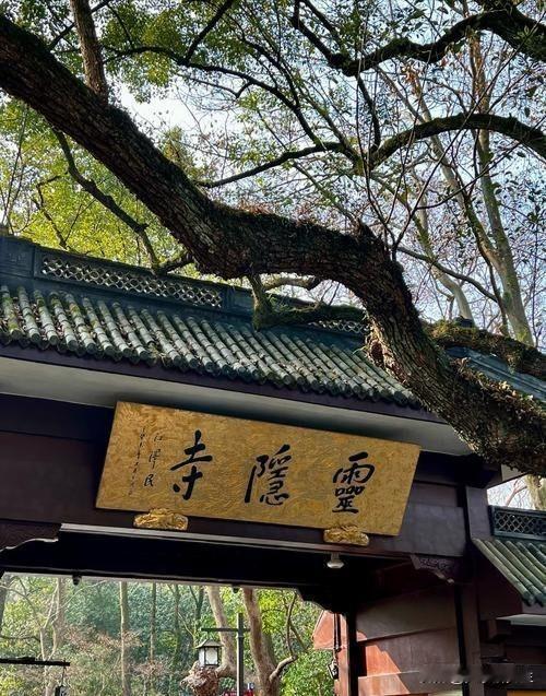 杭州灵隐寺免费开放，老游客心里不是滋味消息来得突然，12月1日开始，进灵隐