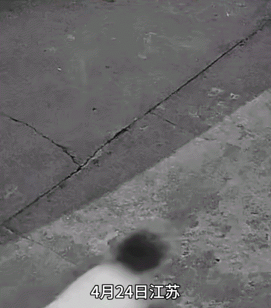 差点出事了！江苏，一小男孩在路边玩滑板车时，不顾马路上是否存在危险，就坐着滑板车