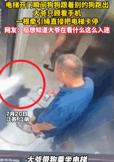 有惊无险！7月20日，江苏江阴，一老人牵着狗进入电梯后，一直低头玩手机。电梯到达