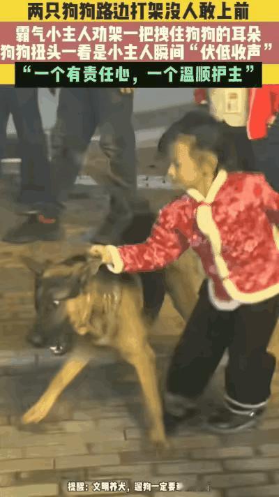 在外面你可以叫“丧彪”。但是在我面前，你只能是一只“小汪汪”！在湖南