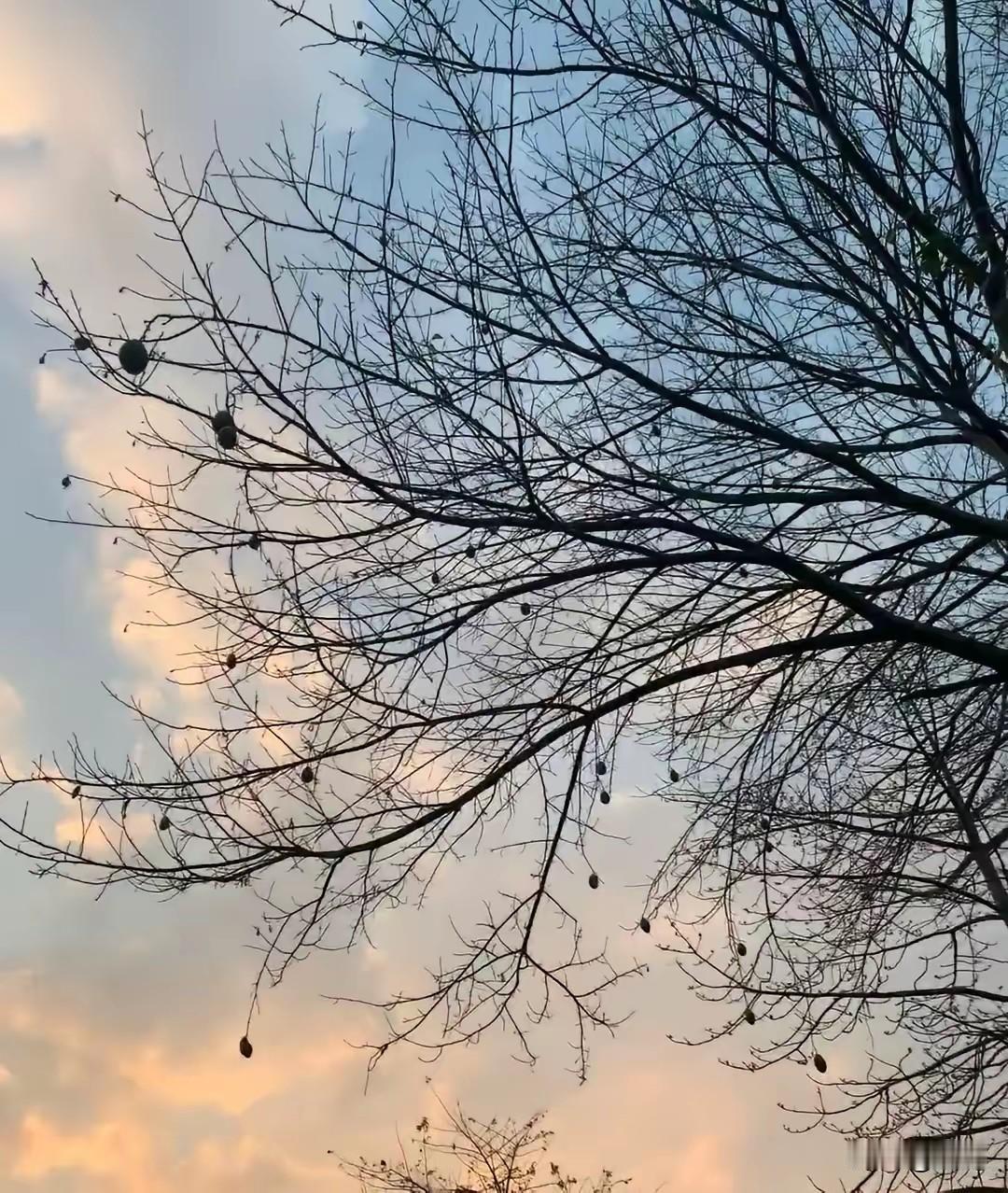 42岁，我被一场“怪荨麻疹”拖入深渊刚过42岁的门槛，我以为人生该是从容安