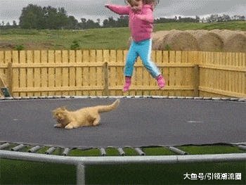 搞笑gif: 一字马练到超市了