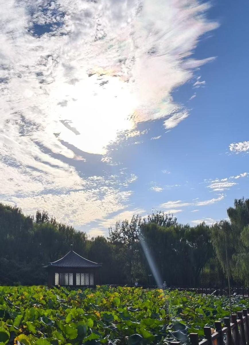 儿子今天跟我商量，他想改一下我们的约定。本来我们约定，他下半年的英语六级考试，