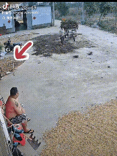 夫妻冷战最狠的样子，大概就是你走你的阳关道，我过我的独木桥，连眼神都懒得给对方一