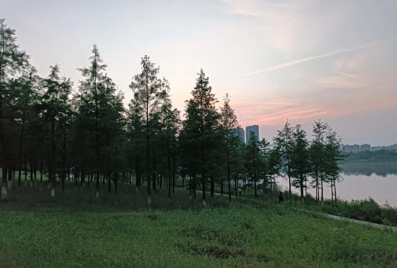 发现没？科技越来越发达，孩子的身体却越来越不如过去。大部分孩子都在厌学，为什么？