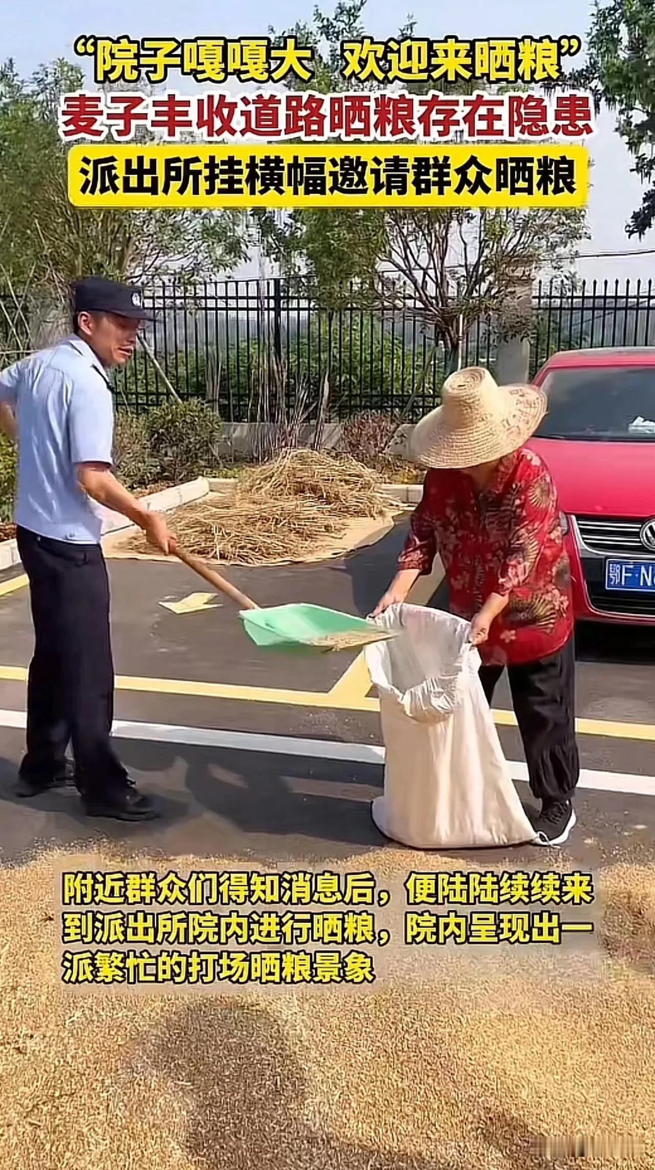 湖北襄阳，麦子成熟的季节，部分村民在省道晒起了麦子，民警看到后就劝说这样不安全！