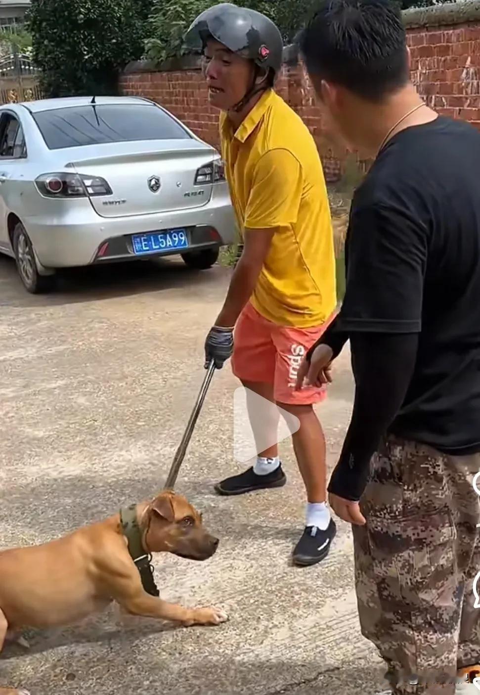 狗贩子收了一只马犬，正打算把它塞进狗肉笼。恰在此时，一位退役军人路过。他看到铁夹
