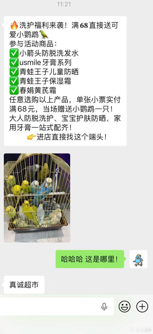 笑死…我们这儿超市搞活动满68送鹦鹉🦜帮朋友代养鹦鹉的第8天，我已经没有爱了一