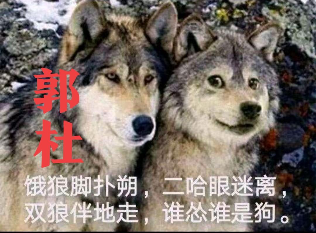 老杜又在装腔作势搜集证据，怎么，这是准备起诉许敏？还是准备起诉网友？老杜敢付诸行