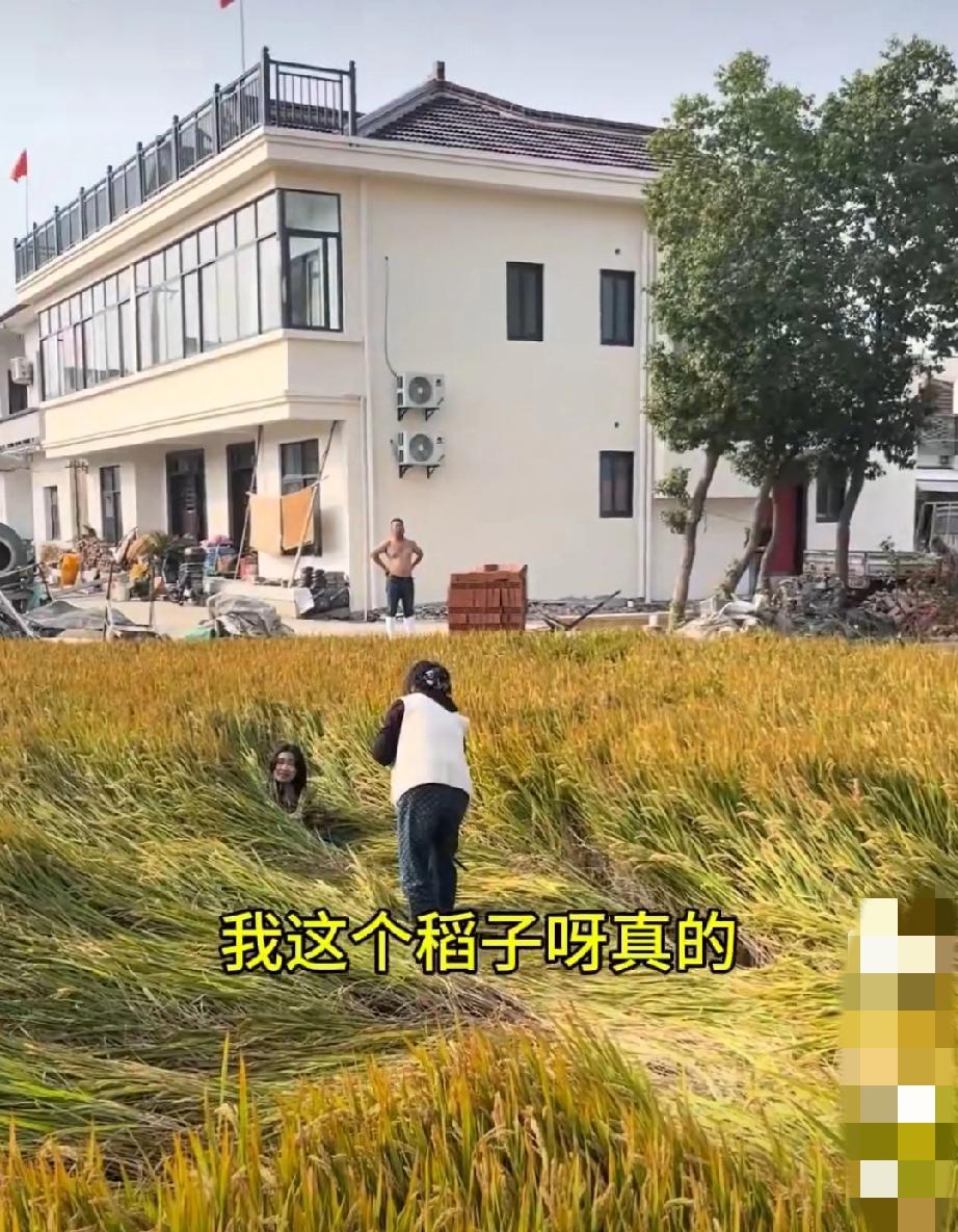 上海松江，两女子为拍照踩踏稻田！现场围观者表示，她们被工作人员制止后仍在稻田里