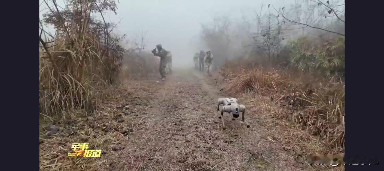 真的是五花八门啊，联勤工程大学这张演练好东西真不少呢……真的很难想象，这只是