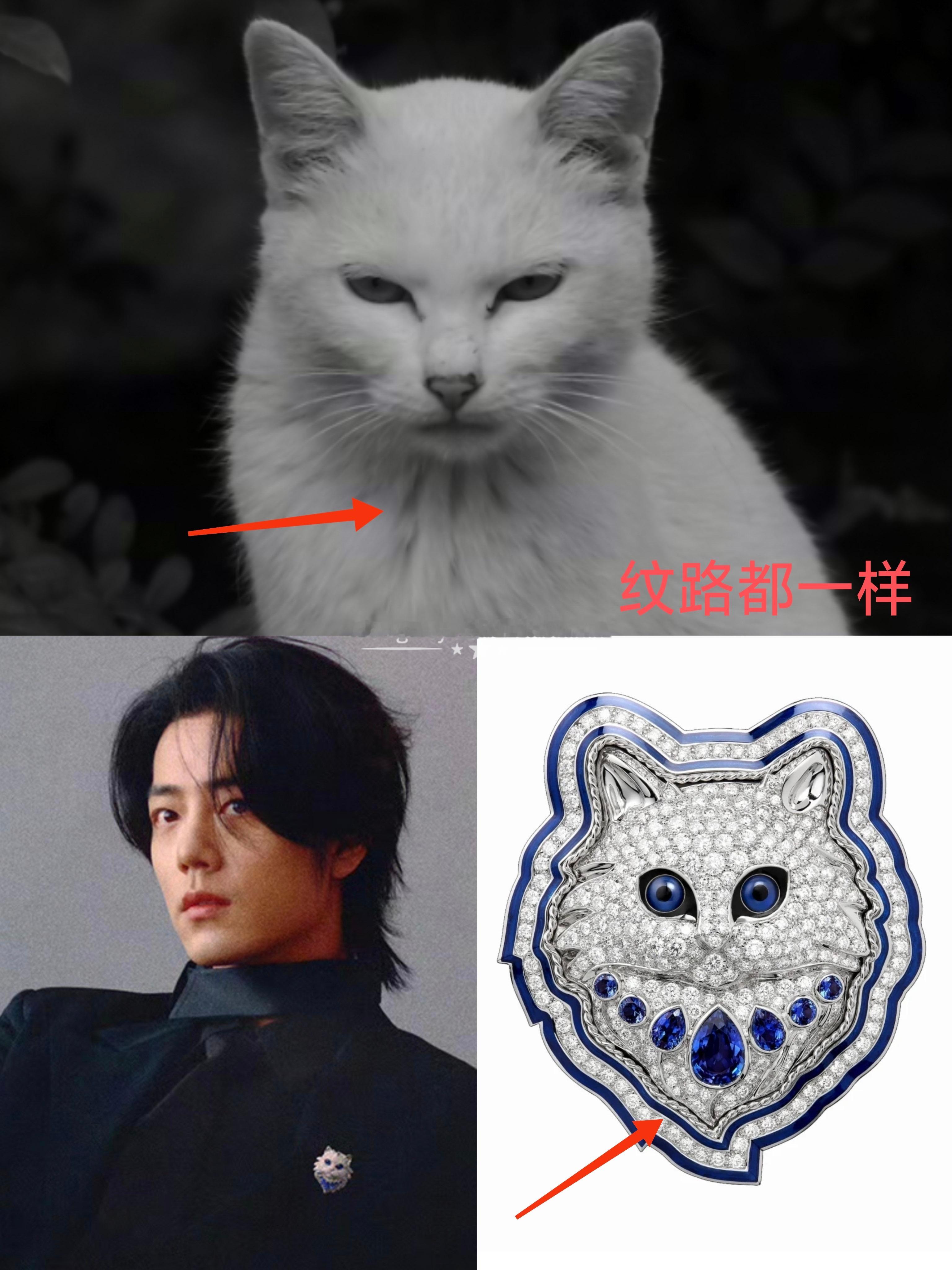 当年肖战认领了最大猫头，王一博转身就发了一张猫猫，唯粉糊里糊涂p了豹豹猫猫的结婚