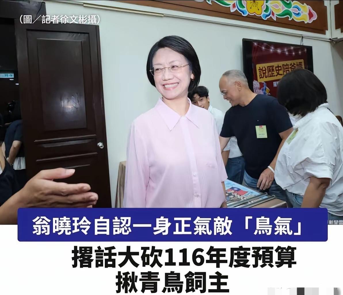 翁晓玲放话揪青鸟饲主大砍预算，蓝营内部泼冷水：这么干反而帮绿营加分！