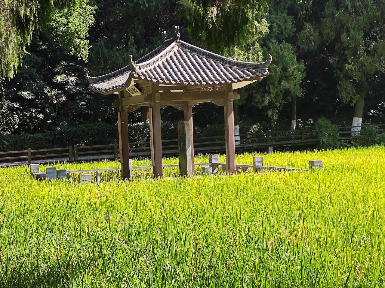 古人行文里，地名本身就有一词多义，要看语境，不是简单拆分“南阳”和“南阳郡”。