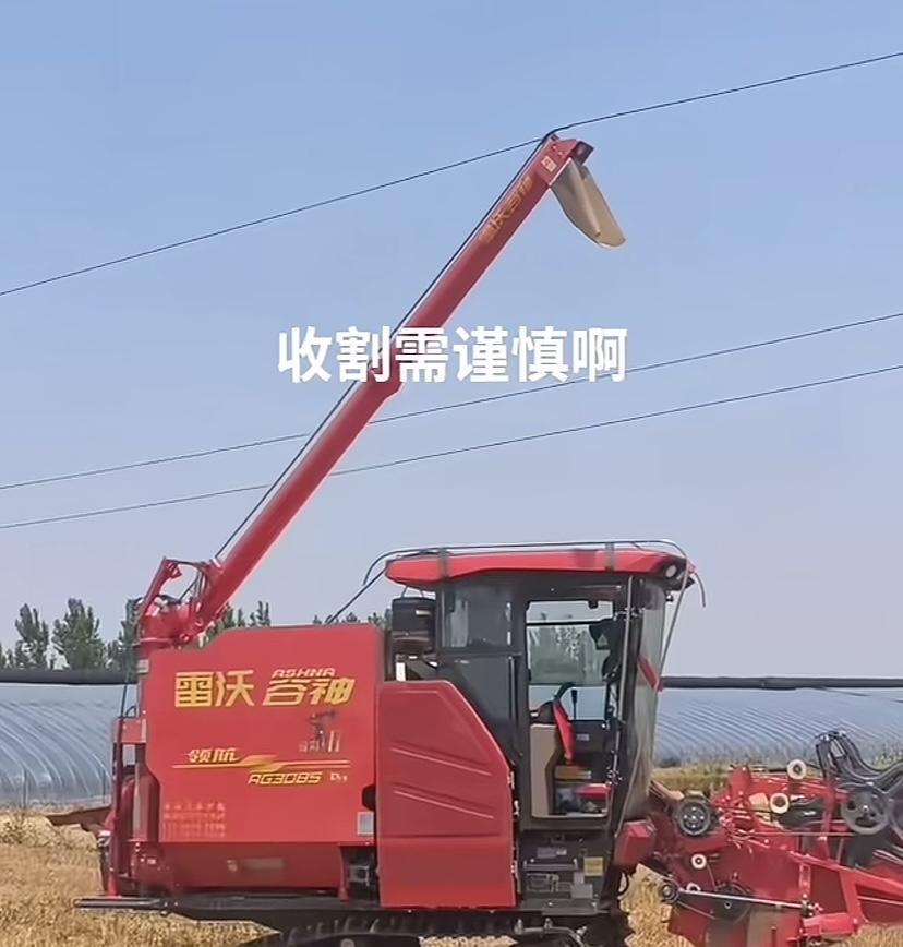 6月11日（发布）河北一片麦地里，一辆收割机在收小麦时，司机忘记把出粮筒收起，不