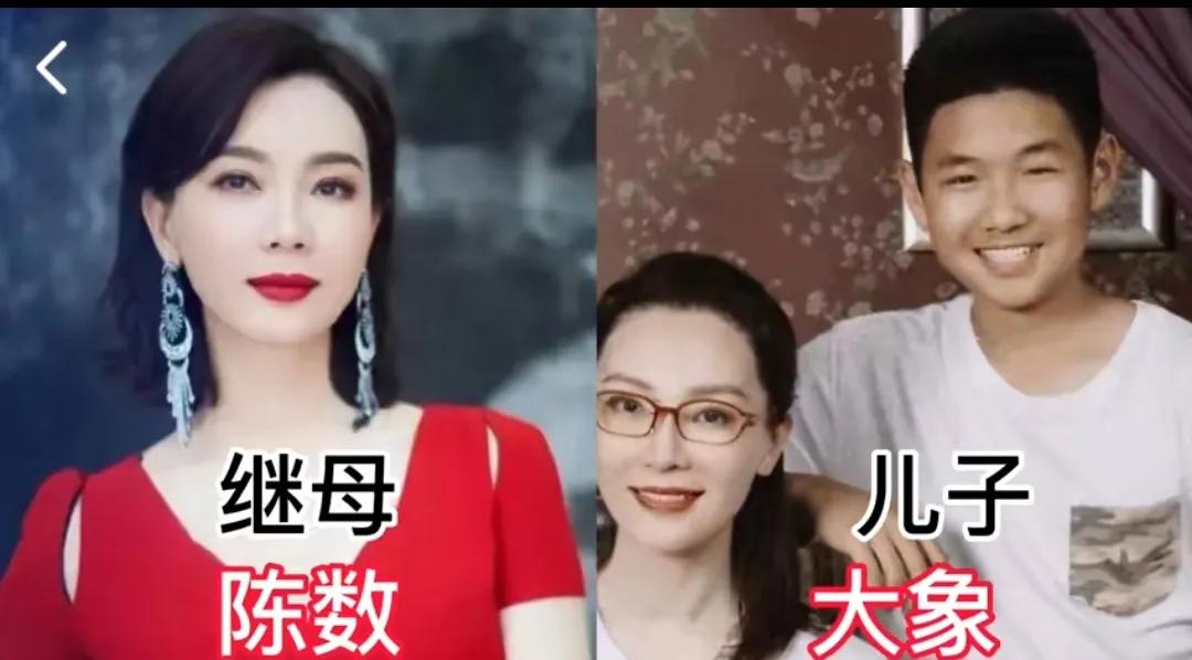 隐藏太深的明星后妈，郑卫莉儿子堪称男神，林青霞比自己女儿还美第1位:陈数第2