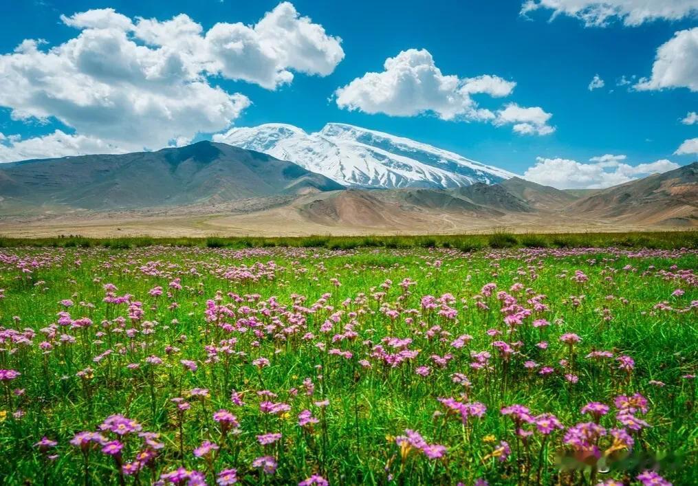 塞翁失马，焉知非福；塞翁得马，焉知非祸。有钱的人，不一定活的幸福；没钱的人，不一