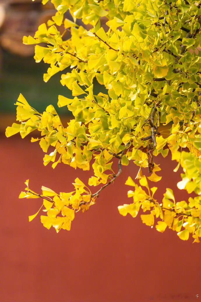 立足于逻辑，走势结构和交易信号去思考问题正常的波动对于场内的是成本，对于场外的是