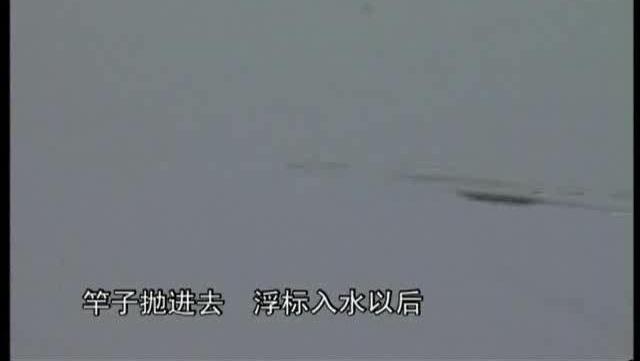 7467882789467586111.jpg?id=0