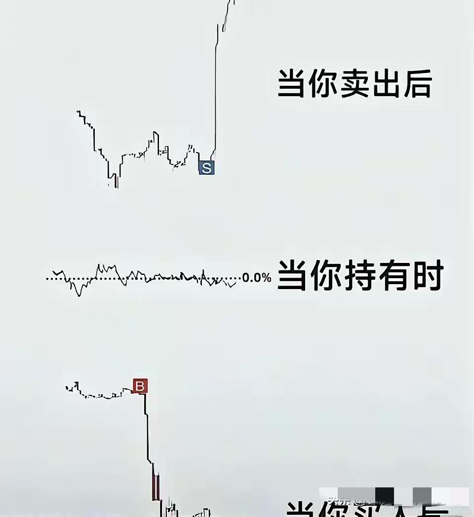 炒股真实写照…说了股票里没啥散户，你们就是不信，只要你敢买哪怕是几万庄家都盯