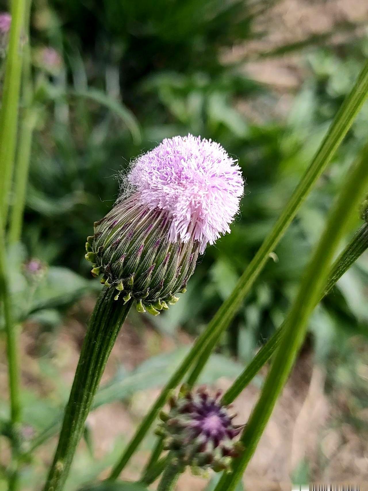 你知道吗，老人手里攥着那一百万存折本子却一毛不拔，最后全家可能都过得不舒坦。老