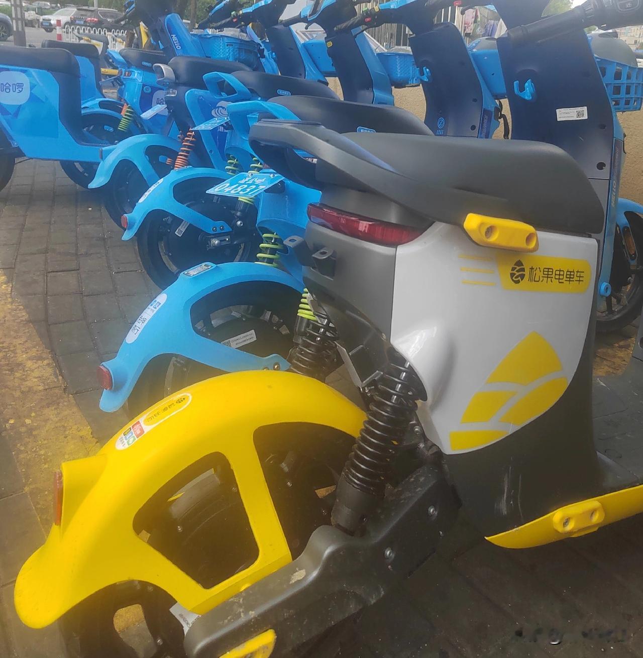 大家是否留意到，湛江市区的共享电动车🛵一下子多了起来，到底发生了什么？湛江市民