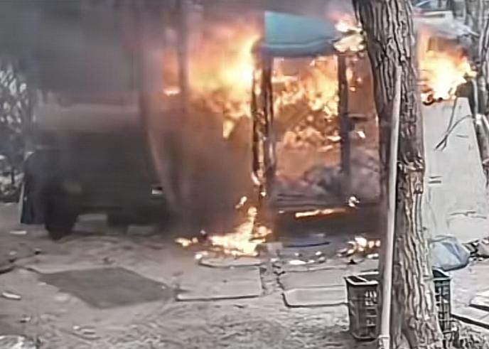 两个男孩点燃狗笼把萨摩耶活活烧死事件，最可怕的不是两个男孩的残忍行径，而是事后孩