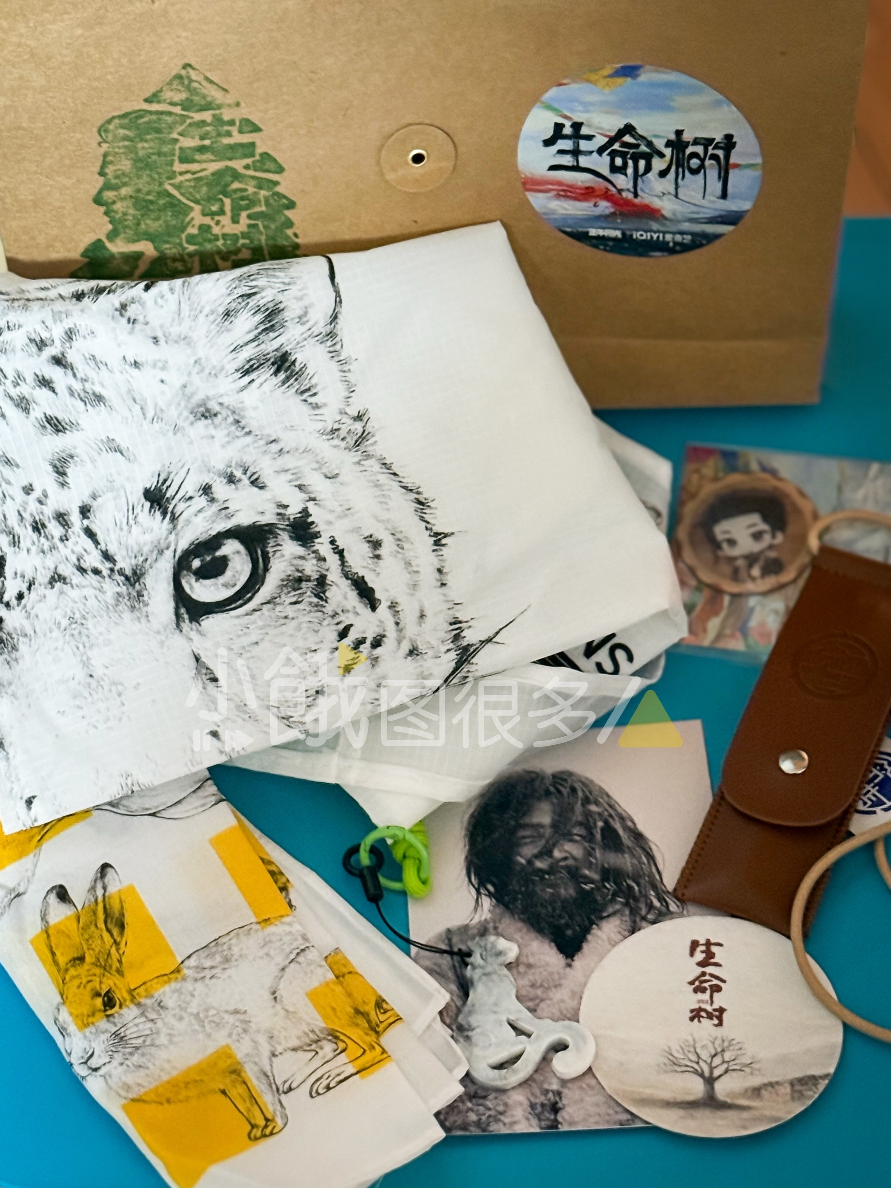 喜欢我歌这么多年，第一次收到他给大家准备的和环保志愿相关的小礼物，雪豹环保袋好可