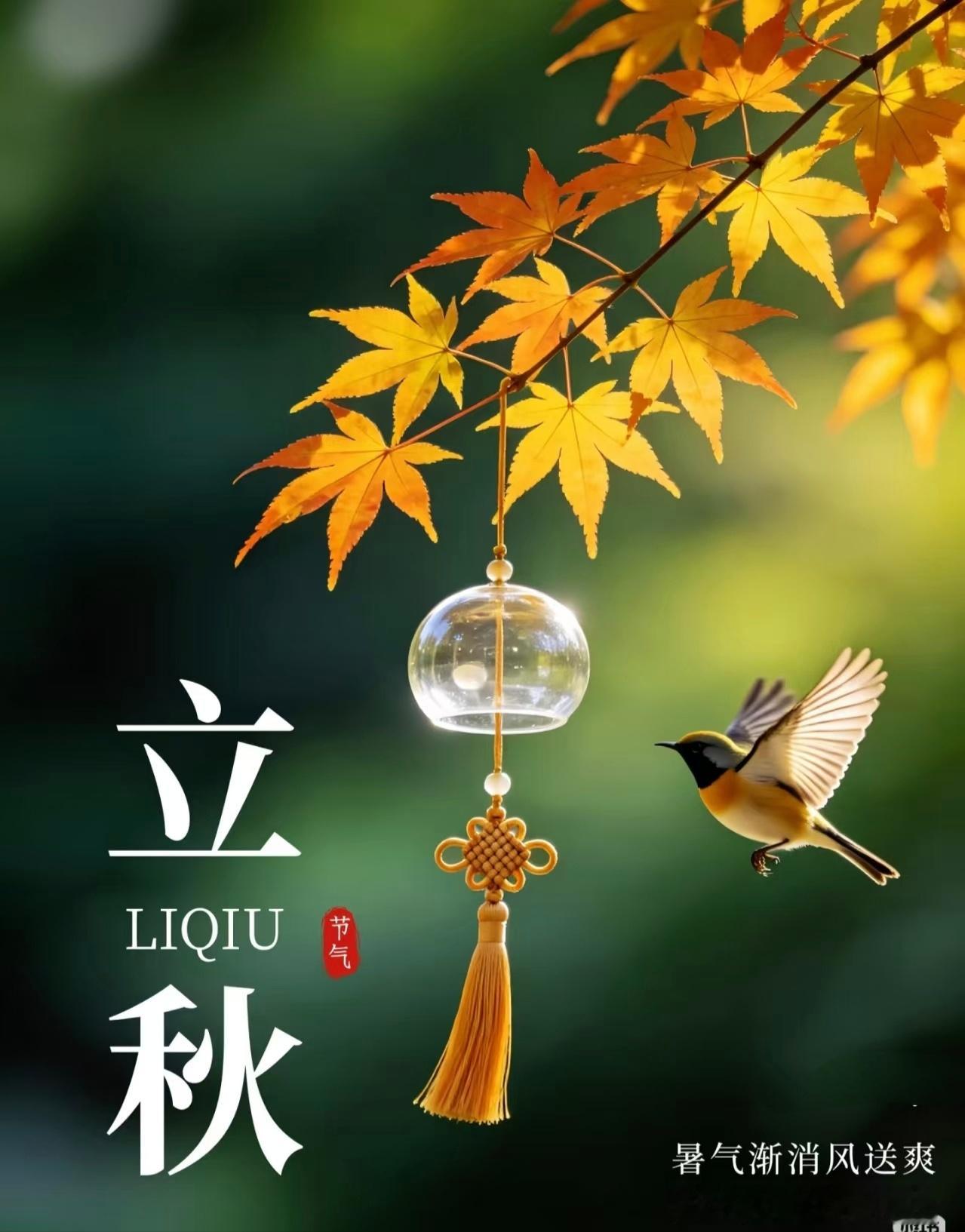 【木叶动秋声，秋天已至🌻】立秋既至，凉风有信。立秋是“二十四节气
