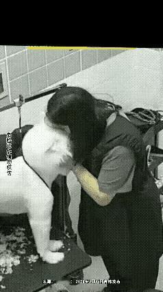这人啊，不作不会死！这也太悲催了，女子给狗洗了澡，亲昵的不行就上去亲了狗狗，但