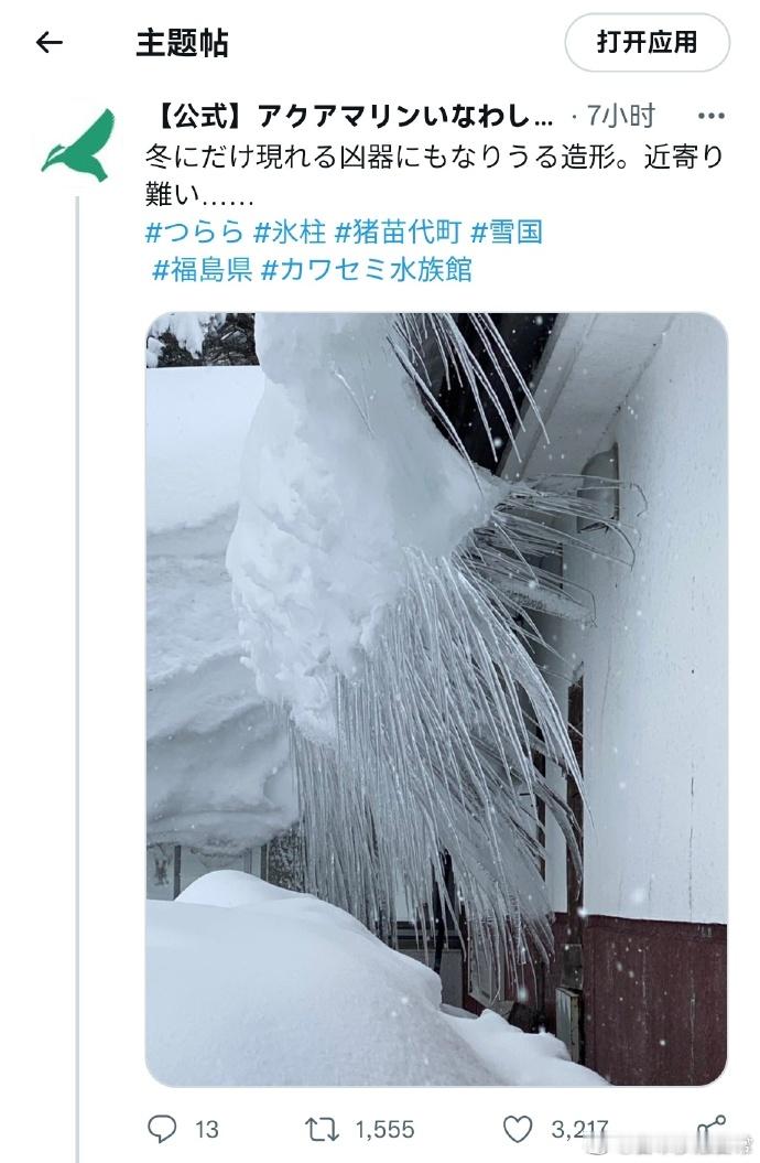 冬季日本北方的凶器​​​海外新鲜事​​​