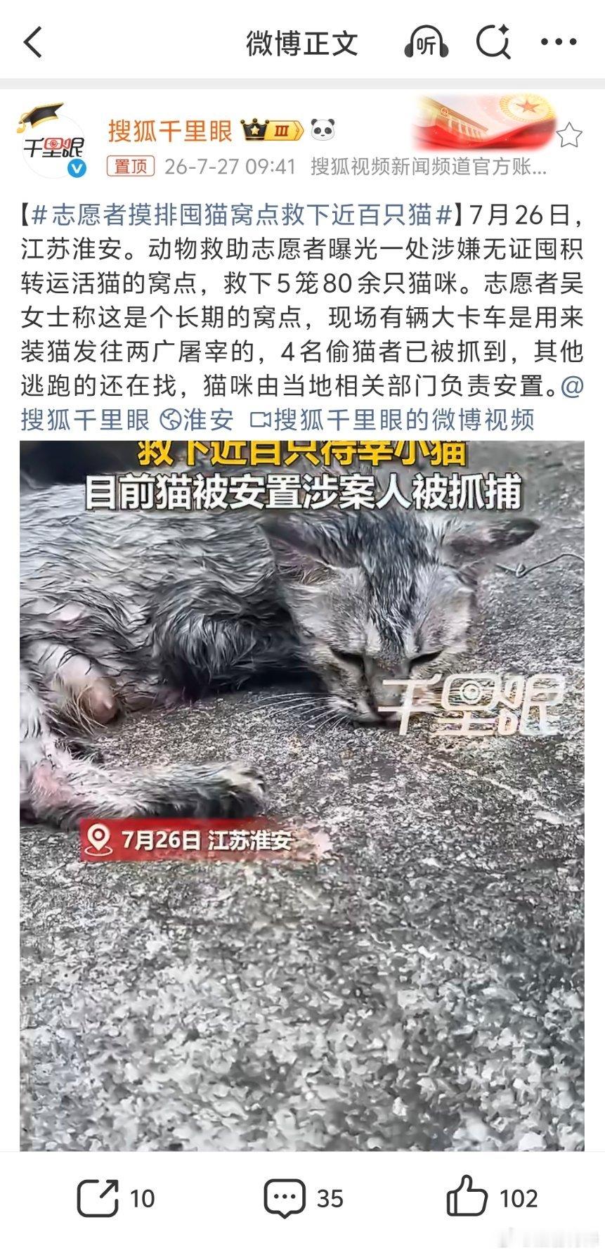 志愿者摸排囤猫窝点救下近百只猫偷猫发往两广屠宰？我怎么觉得不符合常理？第一，除了