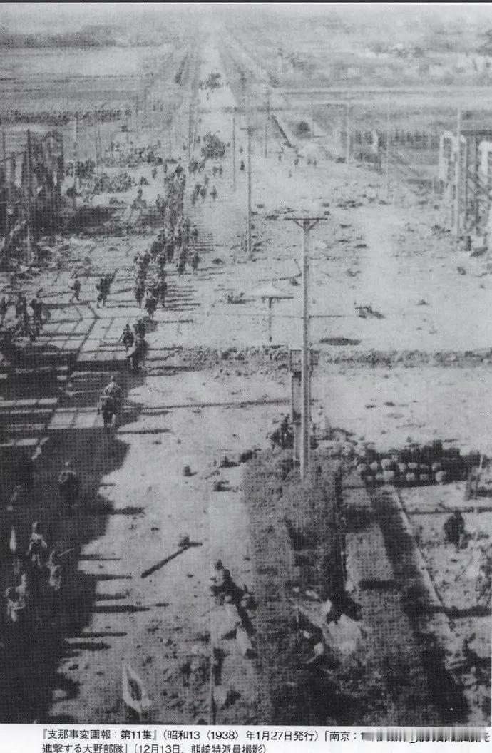南京大屠杀不止残害生灵，满城梧桐也惨遭日军大肆砍伐，两万古树只剩三千南京大