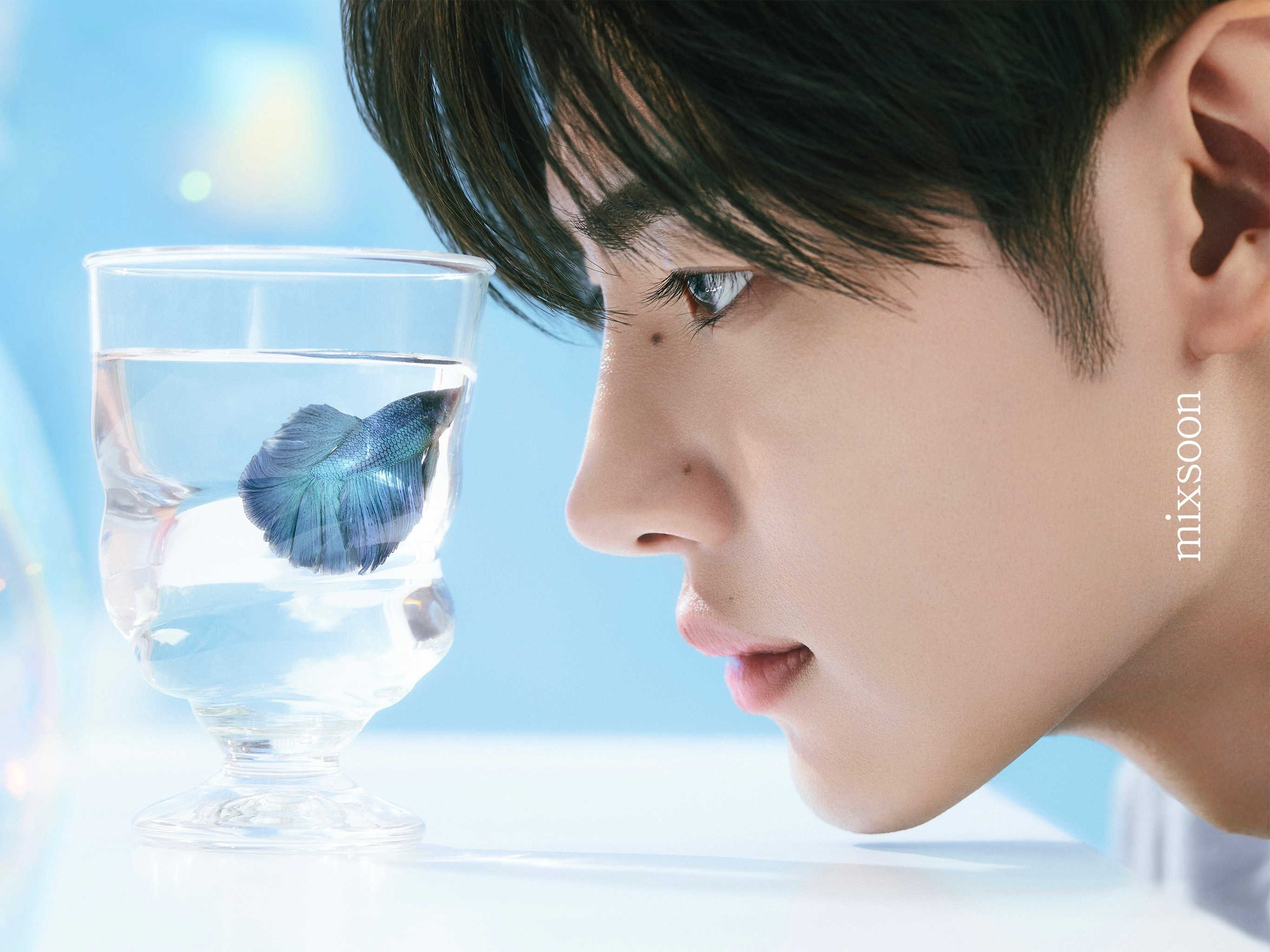 mixsoon更新了一组壁纸新图片好漂亮🫧🐟​​​