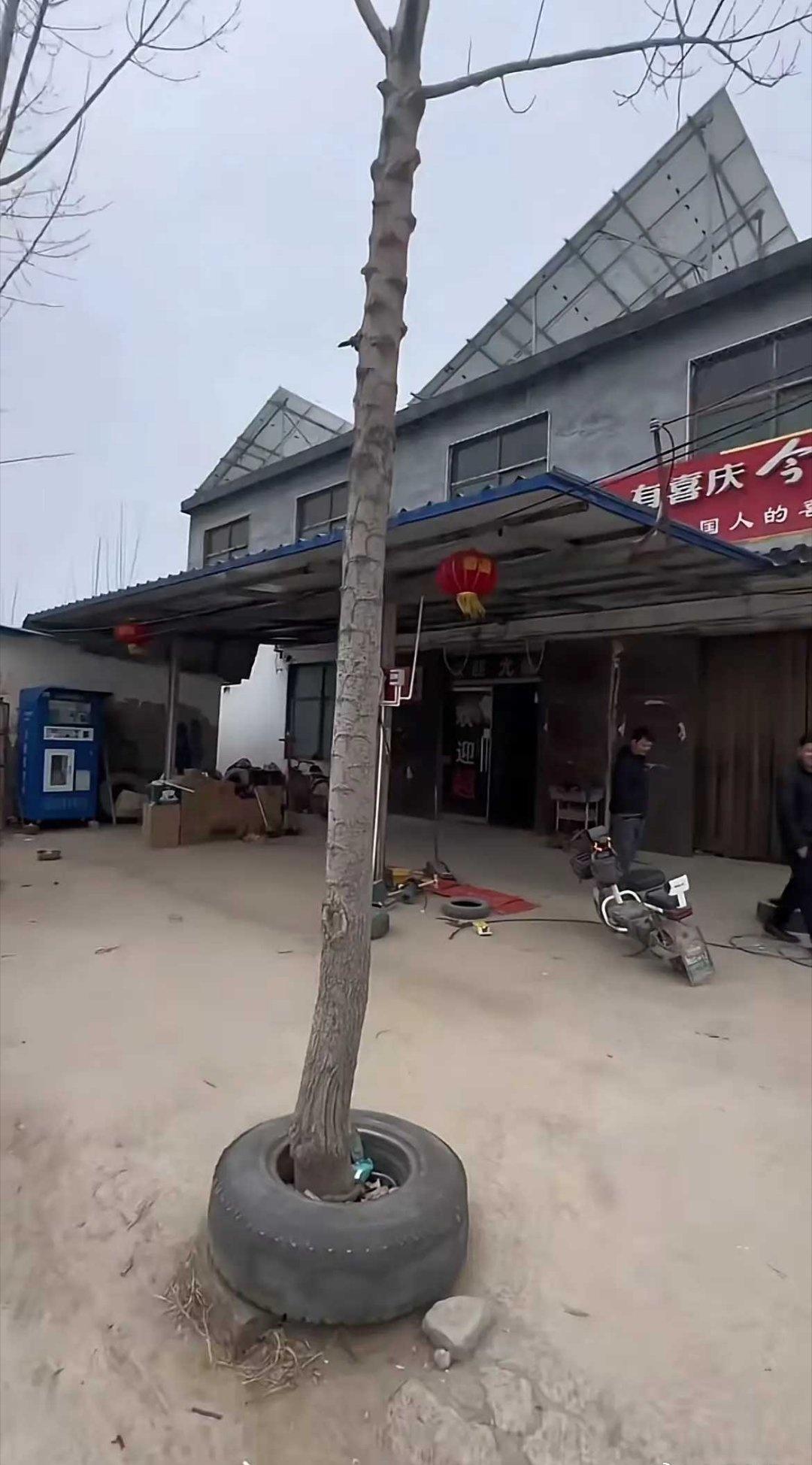 99%的人都猜不到这个轮胎是怎么放进去的！！​​​