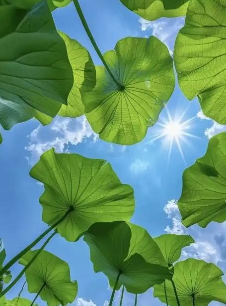 追求者最多的6大星座TOP6天蝎座自带高冷神秘感，气质独特出众。自带致命吸引力，让人忍不住想要靠近探