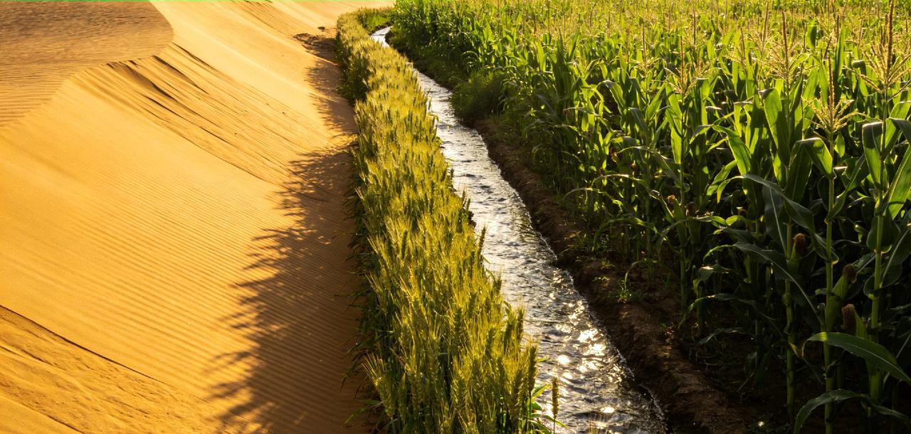新疆：沙漠变良田的奇迹之旅你是否刷到过新疆沙漠种粮的神奇景