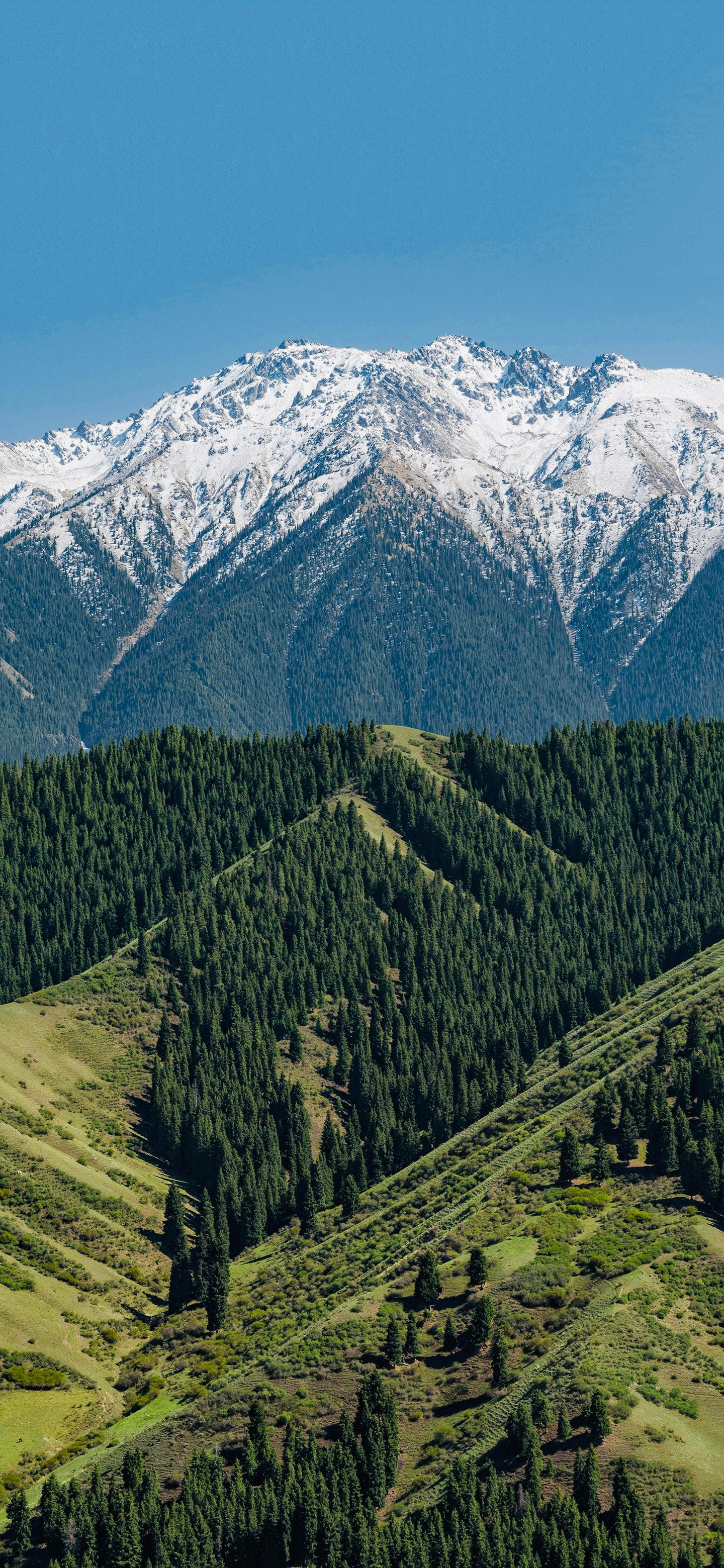 早上好，又是一天风景壁纸