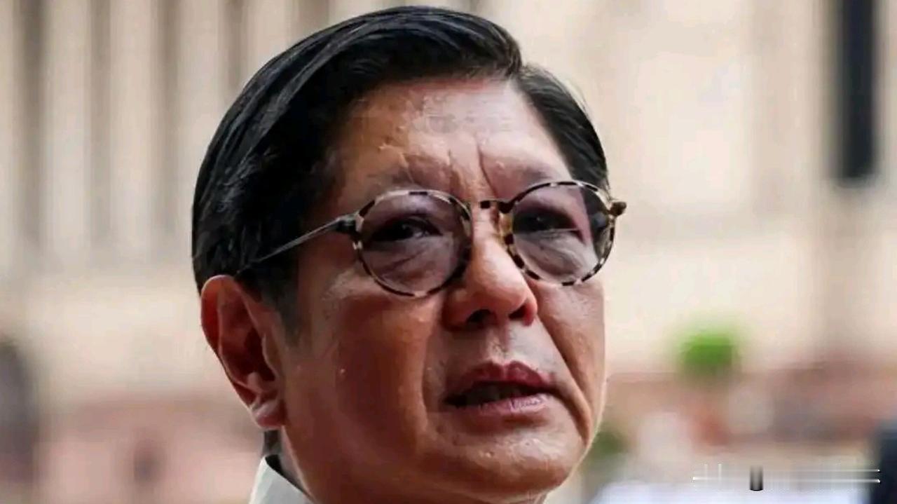 海牙裁决背后：菲律宾两大政治家族的权力暗战2026年4月，位于荷兰海牙的国