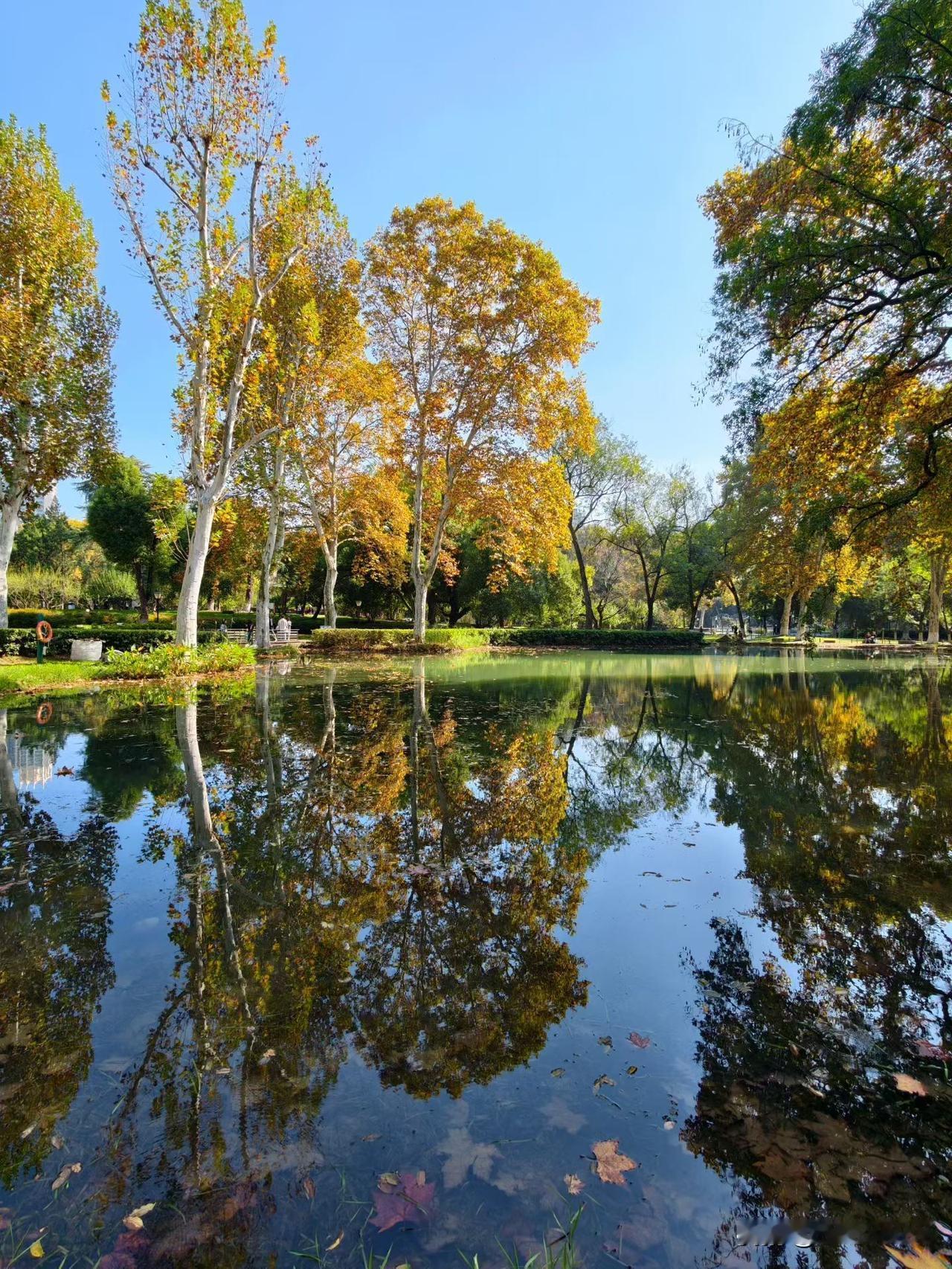 周三武汉地铁客流量继续保持在400万人次以上[呲牙笑][呲牙笑][呲牙笑]爆料身边