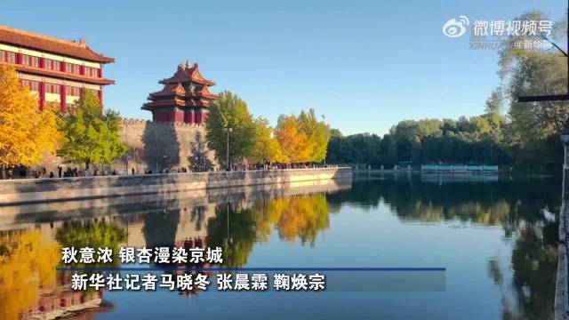 【秋意浓 #银杏漫染京城#】金秋十月，北京秋意渐浓。故宫周边，银杏叶色彩错落、深浅交织，#京城秋色宛如流动的秋日油画