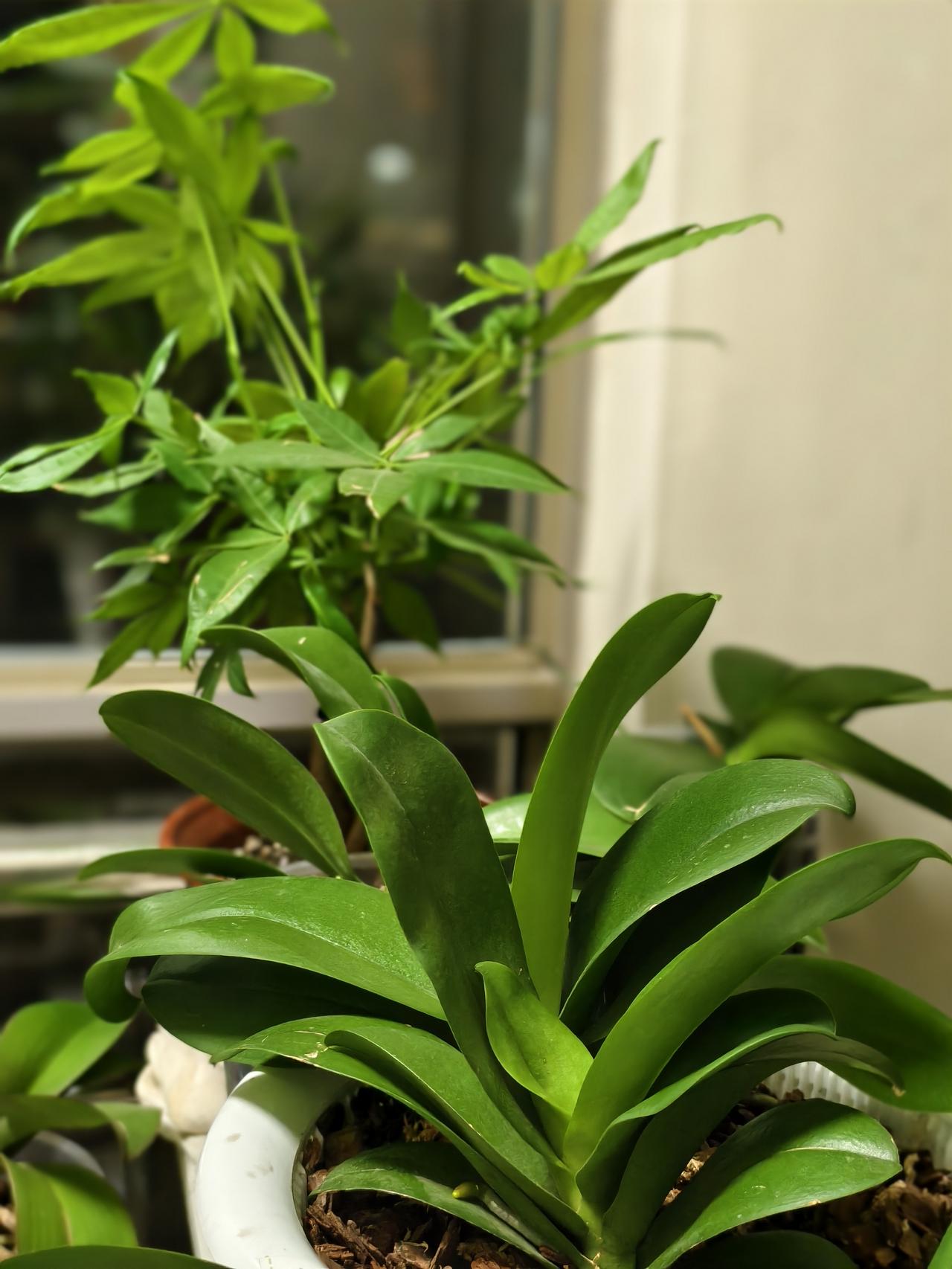 退休后突然发现自己老了，看看您中招了几条：1，白发越来越多2，饭量越来越小