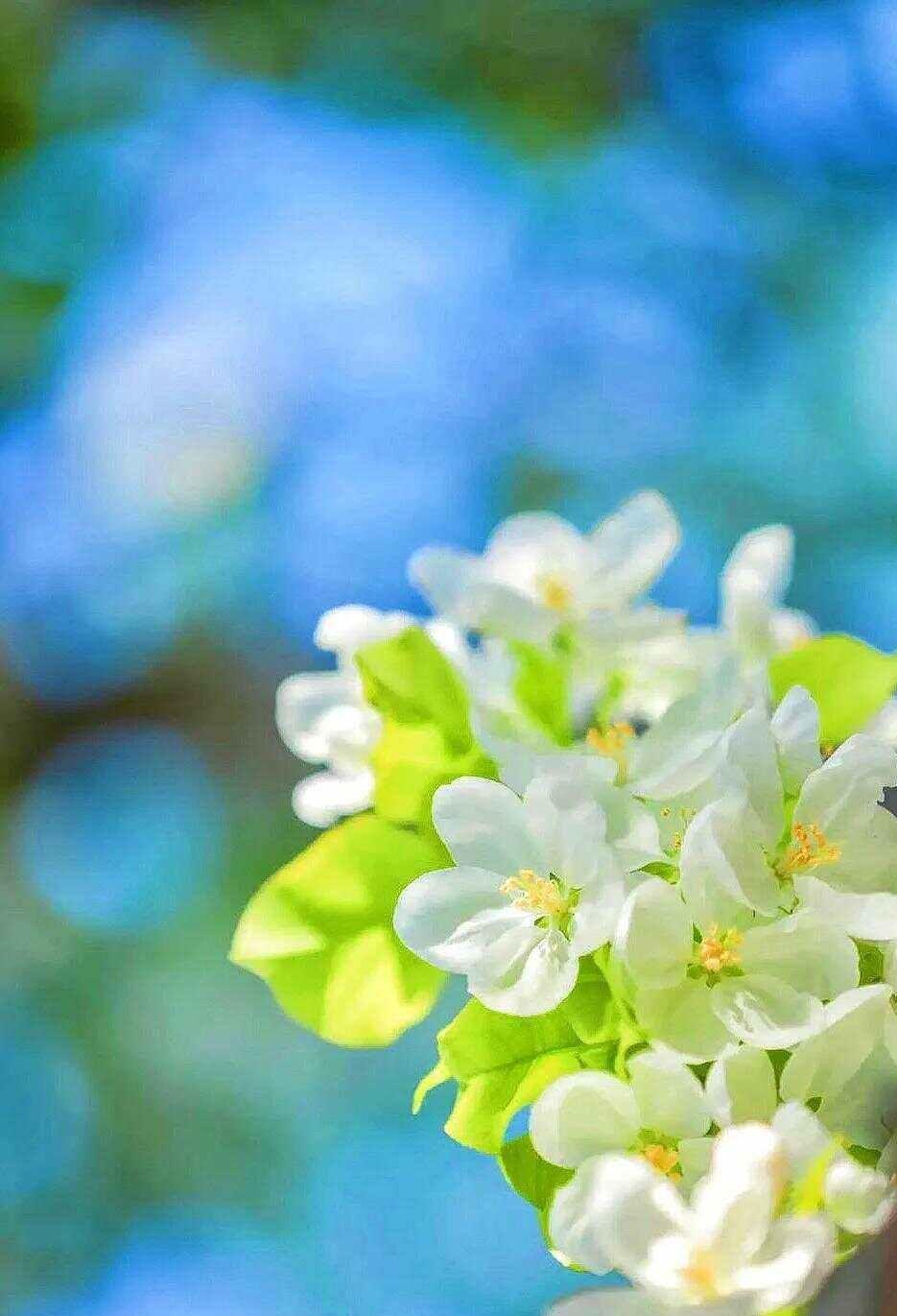 坐车途中遇到一个男人，他去给老妈过节。我们聊了一路，但是，要下车了，他最后一句话